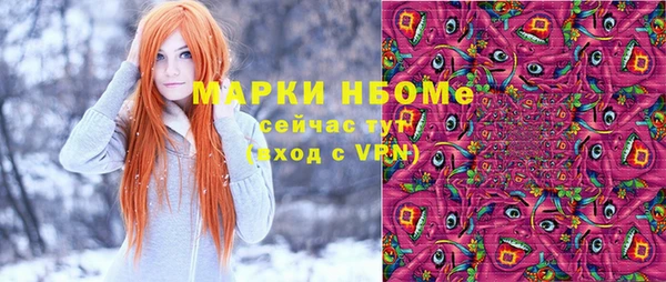 гидра Абаза