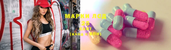 гидра Алексеевка