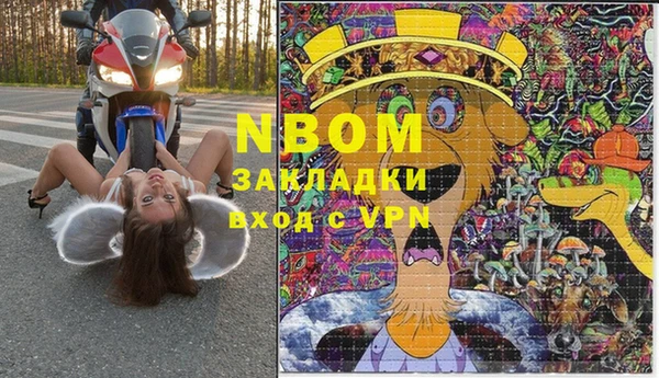 гидра Абаза