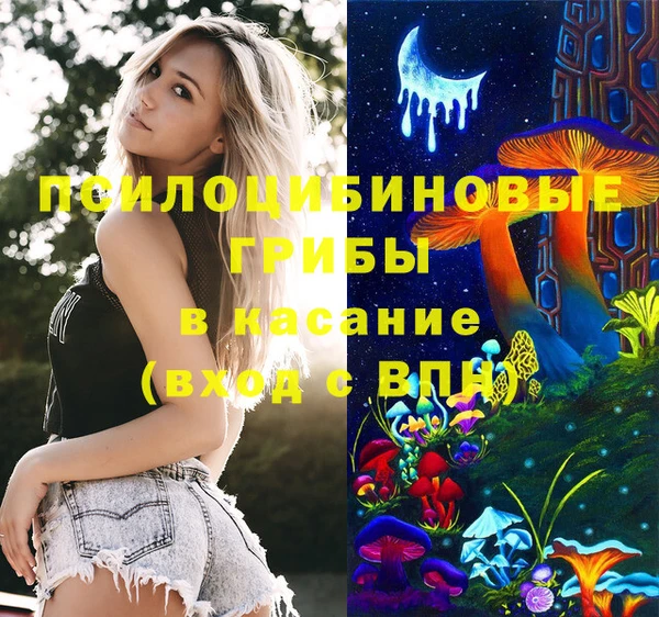 гидра Алексеевка