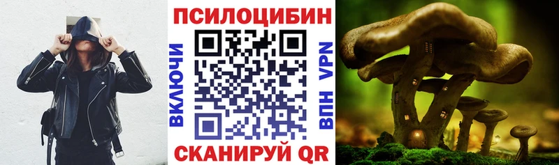 Псилоцибиновые грибы мухоморы Нюрба
